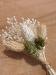 MINI BOUQUET FLEURS SECHEES_VERT