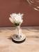 IDEE CADEAU_FEMME_ENSEMBLE SOCLE BOIS FIOLE ET FLEURS SECHEES_8075