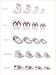 2025_DESIGN PANCARTE FAMILLE BOTTE