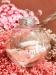 NOEL_BOULE FLEURS SECHEES_PRENOM_Ambre_2